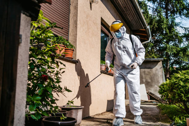 Best Pest Removal Services  in Hugo, MN