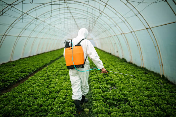 Best Commercial Pest Control Services  in Hugo, MN