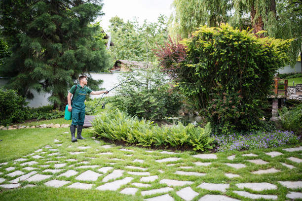 Best Wasp Removal Services  in Hugo, MN