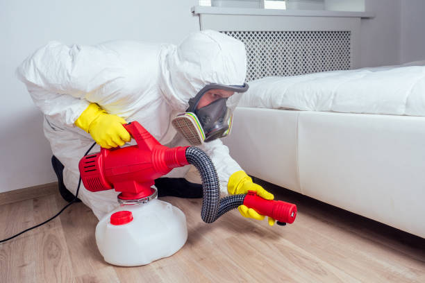 Best Pest Control for Homes  in Hugo, MN