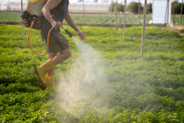 Best Exterminator Services  in Hugo, MN
