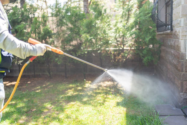 Best Mosquito Control Services  in Hugo, MN
