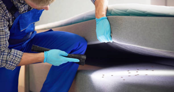 Best Emergency Pest Control  in Hugo, MN