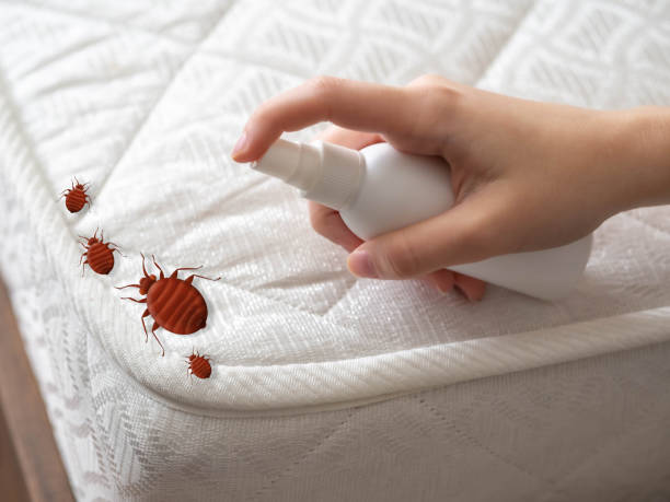 Best Pest Control Treatment  in Hugo, MN