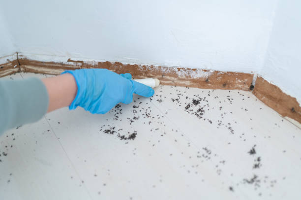 Hugo, MN Pest Control Company