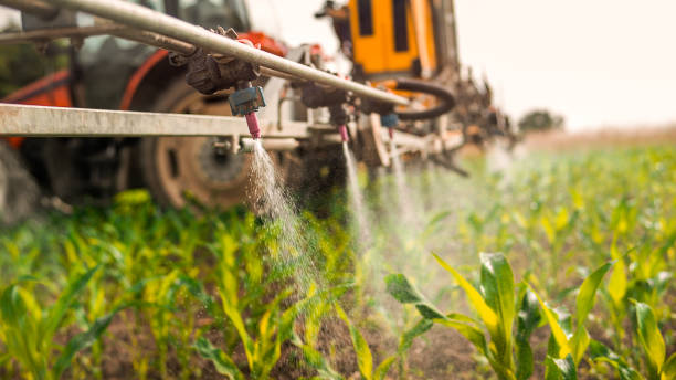 Best Affordable Exterminators  in Hugo, MN